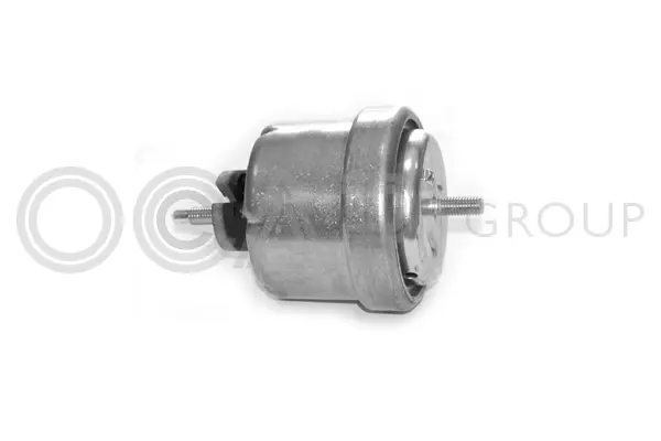 Mounting, engine (1225418)