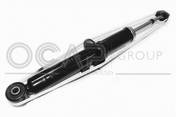 Shock Absorber (82887FL)