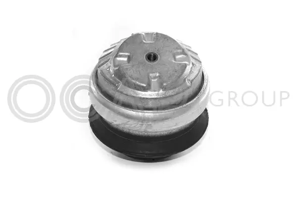 Mounting, engine (1225343)