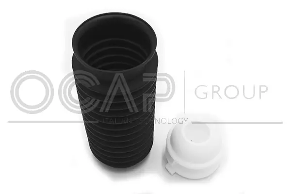 Dust Cover Kit, shock absorber (8500038)