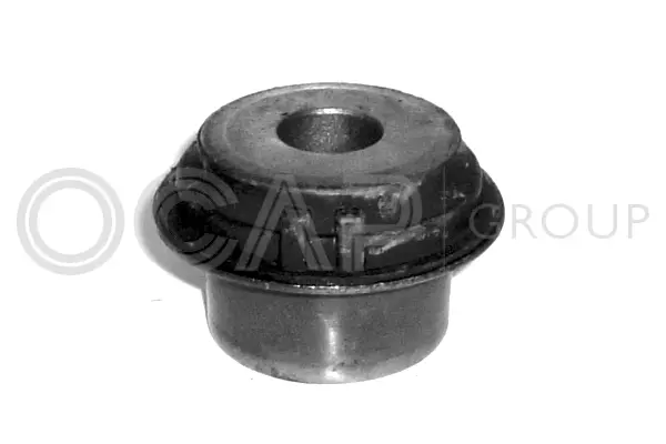 Mounting, control/trailing arm (1215121)