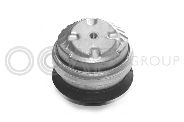 Mounting, engine (1225337)