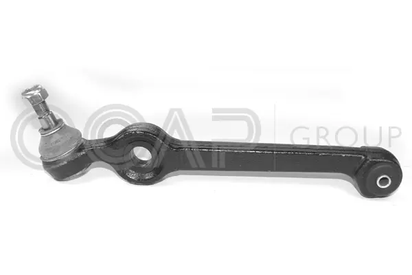 Control/Trailing Arm, wheel suspension (0300001)