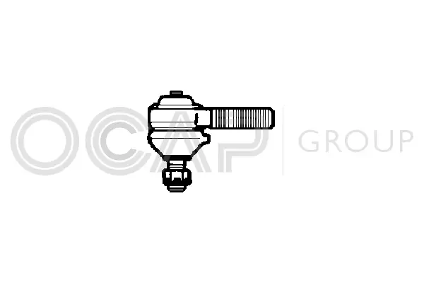 Tie Rod End (0193312)