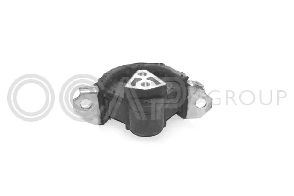 Mounting, engine (1225398)