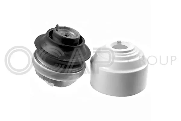 Mounting, engine (1226212)