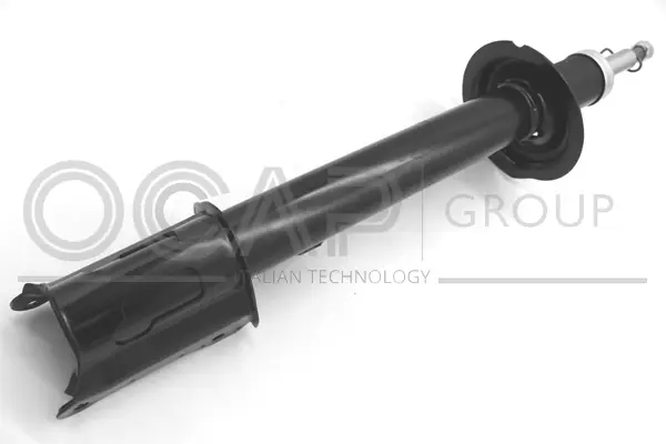 Shock Absorber (82441RU)