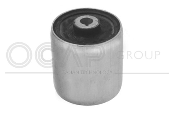 Mounting, control/trailing arm (1216498)
