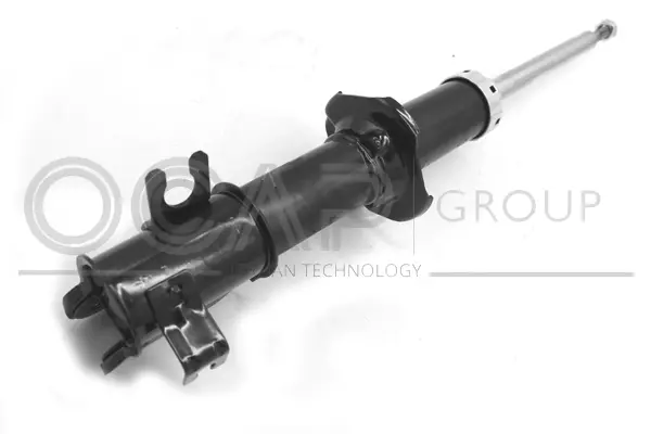Shock Absorber (82296FR)
