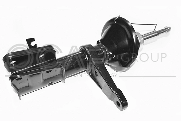 Shock Absorber (82409FL)