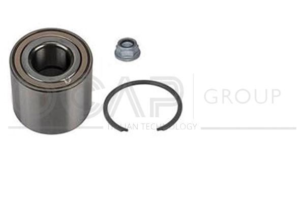 Wheel Bearing Kit (6120644)