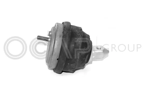 Mounting, engine (1225126)