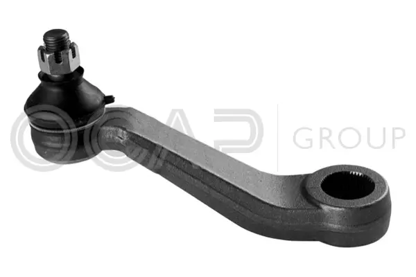 Steering Arm (0303764)
