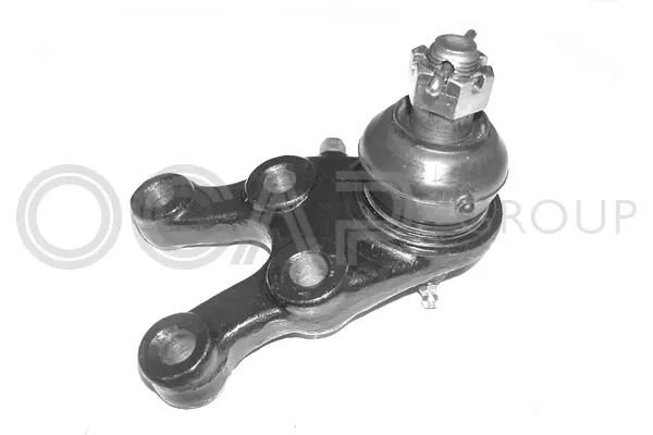 Ball Joint (0493493)