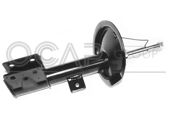 Shock Absorber (82074FL)