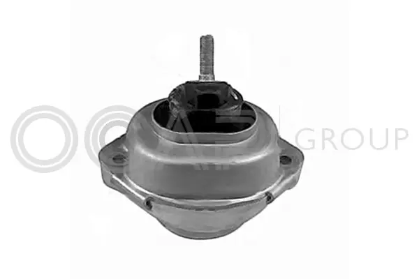 Mounting, engine (1226104)