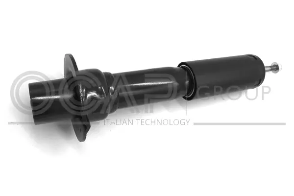 Shock Absorber (82455FU)