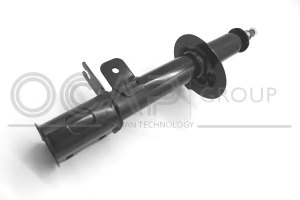 Shock Absorber (82418RR)