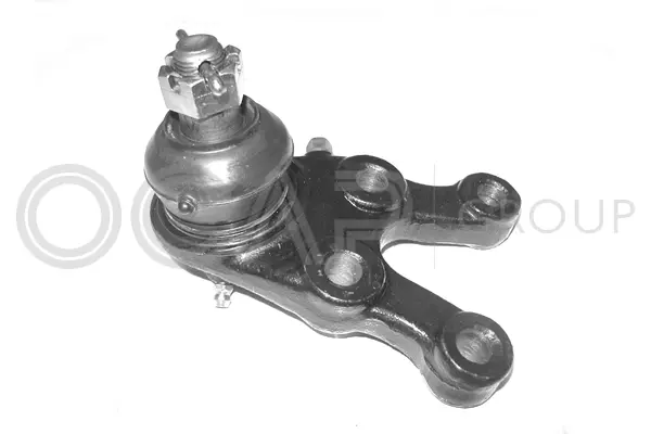 Ball Joint (0483493)