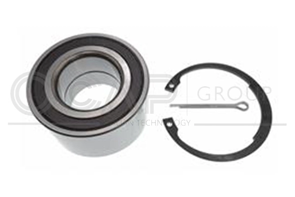 Wheel Bearing Kit (6120241)