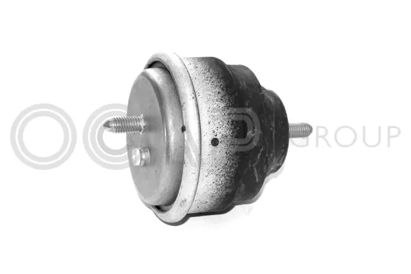 Mounting, engine (1225124)