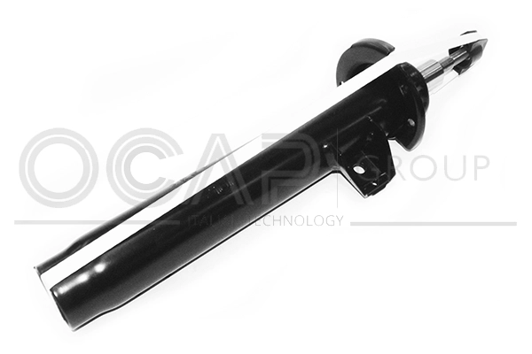 Shock Absorber (82565FL)