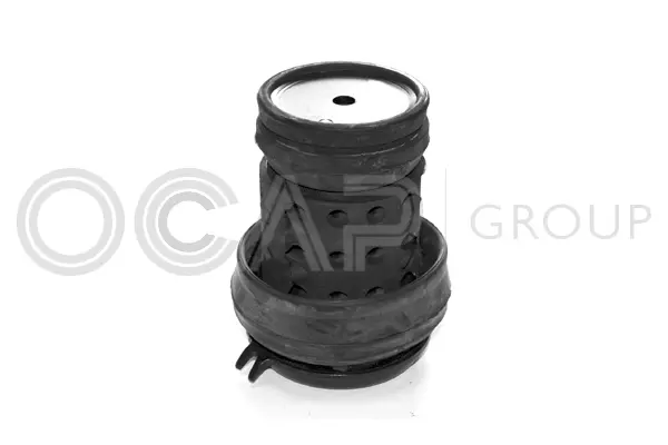 Mounting, engine (1225506)
