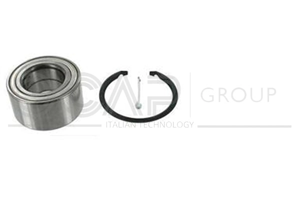 Wheel Bearing Kit (6120228)