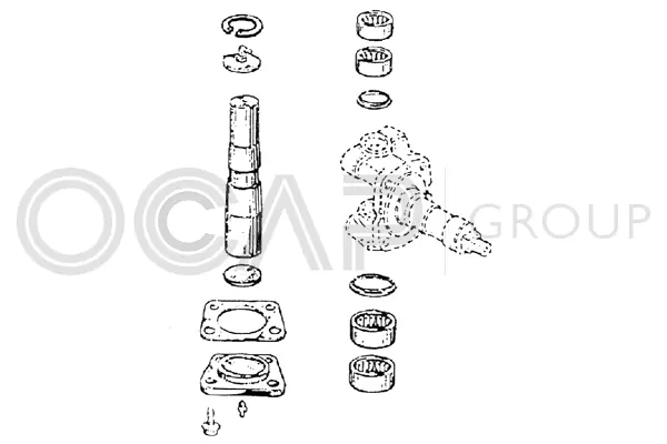 Repair Kit, kingpin (0927392)