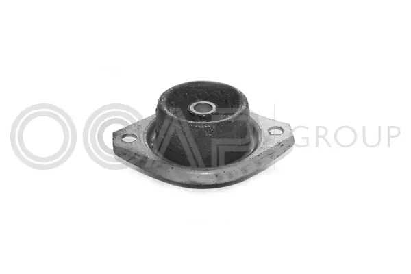 Mounting, engine (1225203)