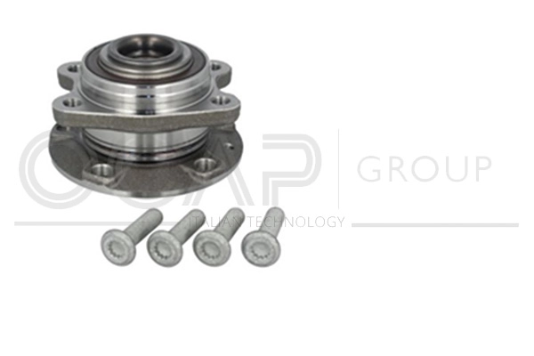 Wheel Bearing Kit (6120449)