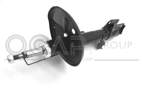Shock Absorber (82213FL)