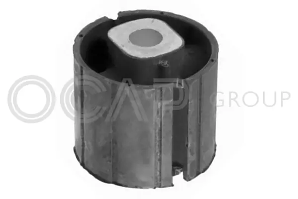 Bushing, axle bracket (1216224)