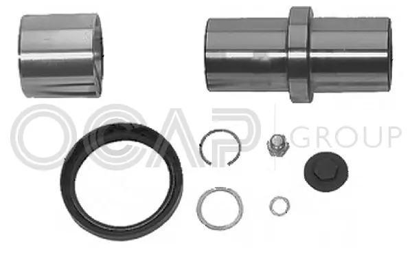 Repair Kit, kingpin (0927410)