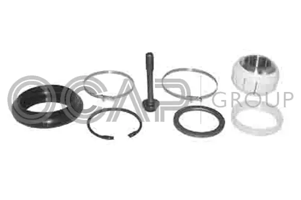 Central Joint, triangular control arm (0909389)