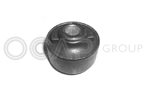 Mounting, control/trailing arm (1216161)