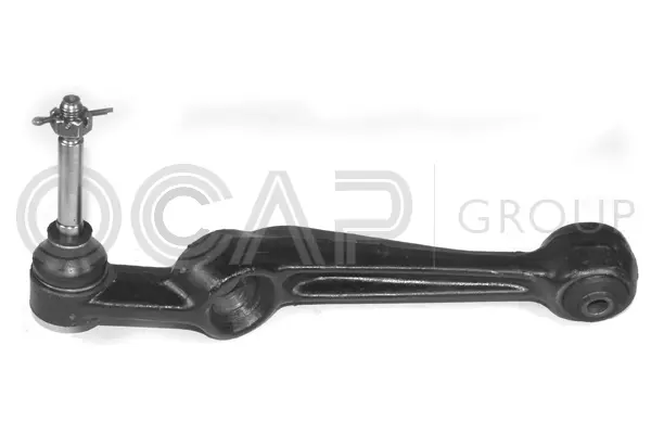 Control/Trailing Arm, wheel suspension (0380263)