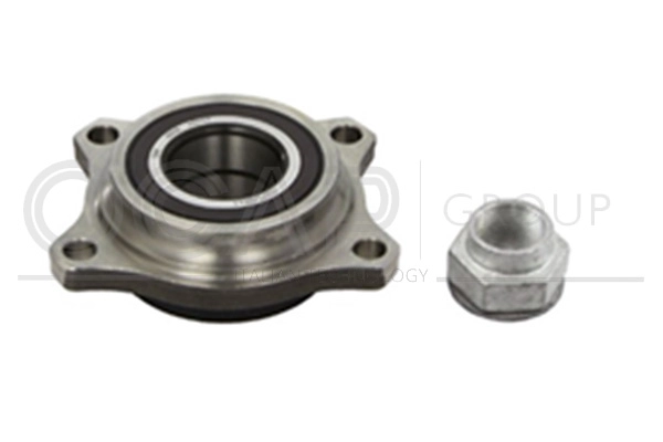 Wheel Bearing Kit (6120362)