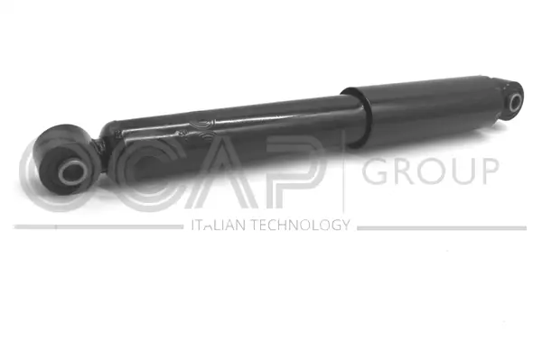 Shock Absorber (82463RU)