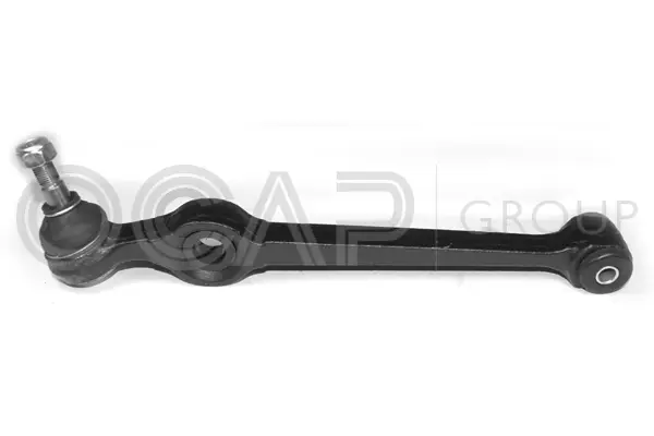 Control/Trailing Arm, wheel suspension (0300004)