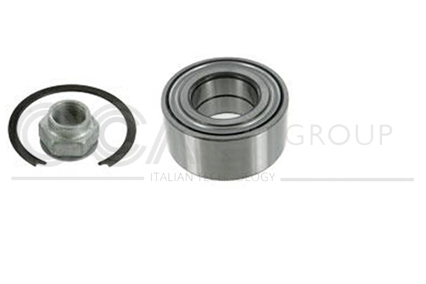 Wheel Bearing Kit (6120646)