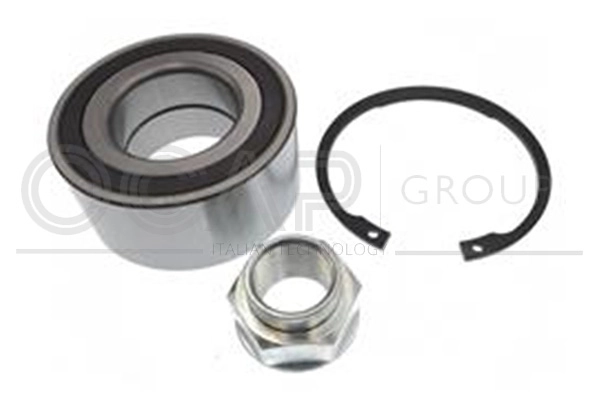 Wheel Bearing Kit (6120336)