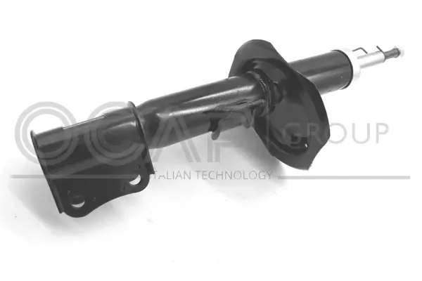 Shock Absorber (82489FL)