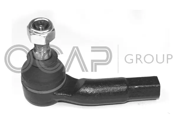 Tie Rod End (0286489)