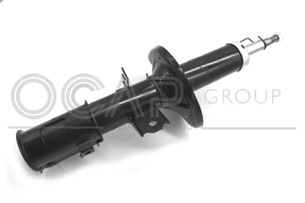 Shock Absorber (82243FL)