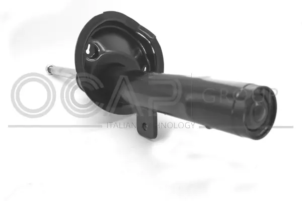 Shock Absorber (82046FR)