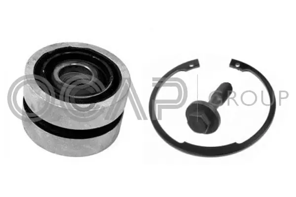 Central Joint, triangular control arm (0909447)