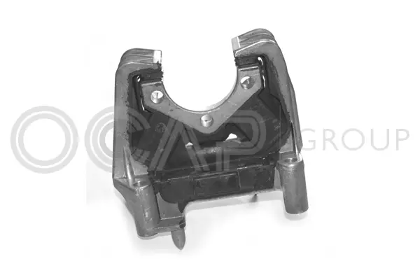 Mounting, engine (1225420)