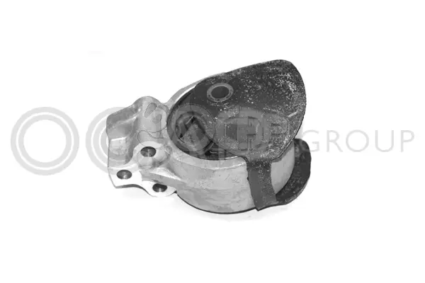 Mounting, engine (1225575)