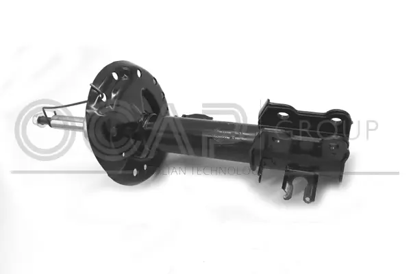 Shock Absorber (82056FL)